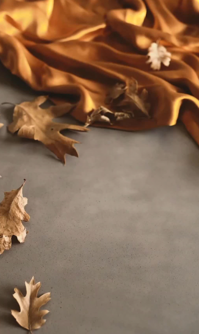 Autumn Elegance
