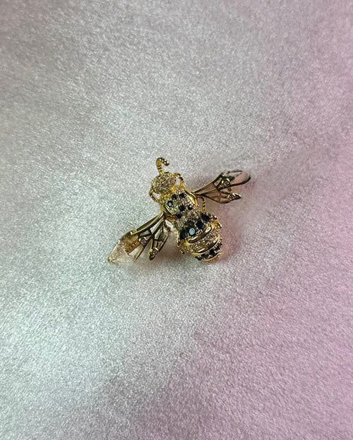 Broche luxueuse